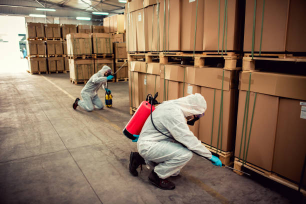 Best Termite Control Services  in Pleasantville, IA