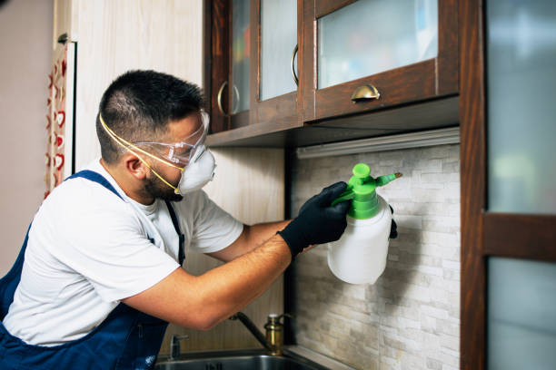 Best Pest Inspection Near Me  in Pleasantville, IA