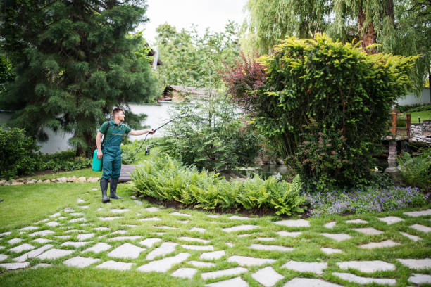 Bird Control in Pleasantville, IA