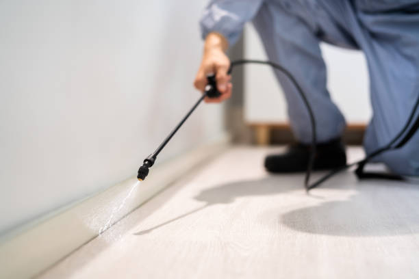 Best Pest Prevention Services  in Pleasantville, IA