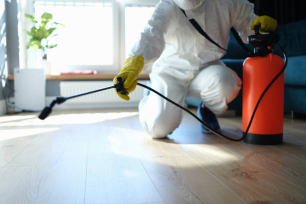 Best Wasp Removal Services  in Pleasantville, IA