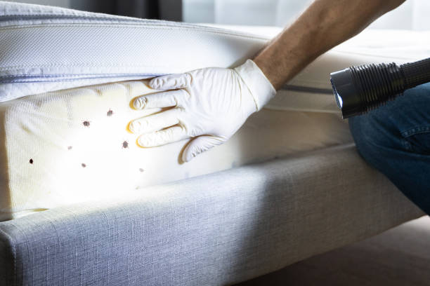 Best Pest Removal Services  in Pleasantville, IA