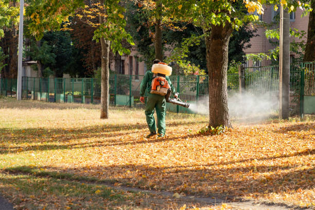 Best Mosquito Control Services  in Pleasantville, IA