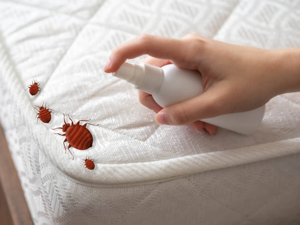 Best Pest Control Near Me  in Pleasantville, IA