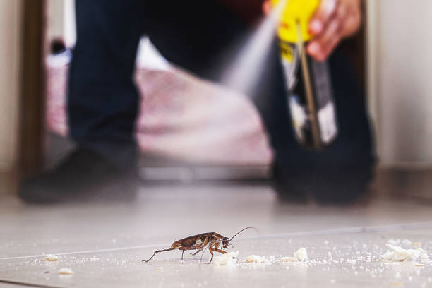 Best Best Pest Control Companies  in Pleasantville, IA