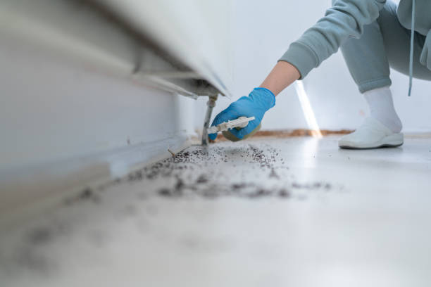 Trusted Pleasantville, IA Pest Control Experts